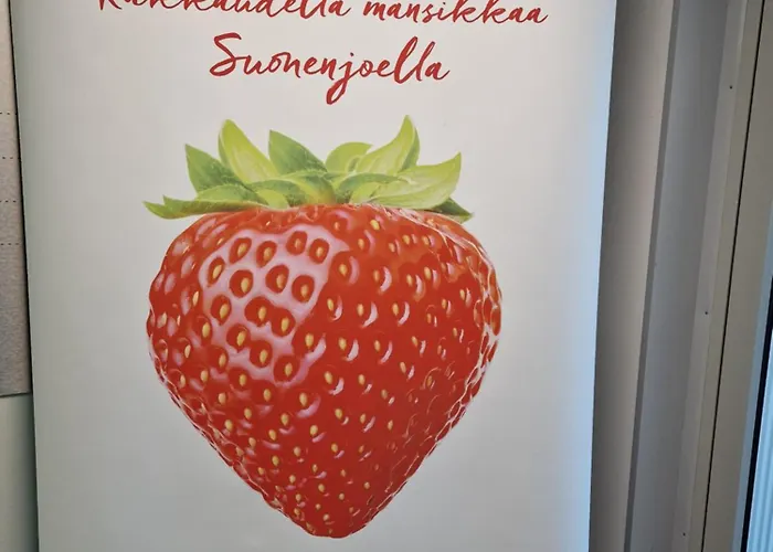 Huvilat Kastehelmi Suonenjoki